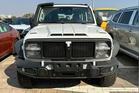 限量1000辆，坦克300铁骑02将亮相广州车展，新增涉水喉图片