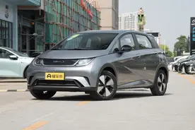 不到12万预算买大空间纯电车，推荐比亚迪海豚和AION Y Younger图片
