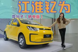 全球首款纳离子电车下线，钇为花仙子，让新能源成本又降低了！视频封面