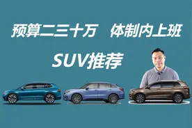 预算二三十万，体制内上班，买这几款SUV挺合适视频封面