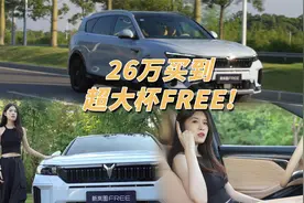 深度测评新岚图FREE｜26万买到超大杯FREE，有多FREE？视频封面
