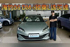 小清新很重要吗？比亚迪海豹06 DM-i和秦L该买谁？
