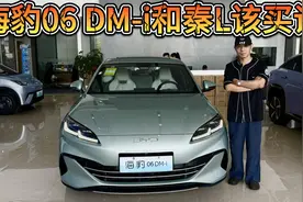 小清新很重要吗？比亚迪海豹06 DM-i和秦L该买谁？视频封面