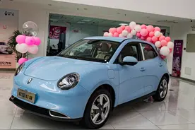 2022年度实测榜出炉，小型车麋鹿测试，欧拉好猫夺冠，Polo排第二图片