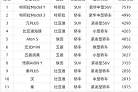 4月第3周纯电销量榜：特斯拉遥遥领先，蔚来终于绷不住了图片
