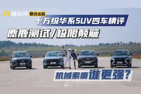 十万级华系SUV四车横评，麋鹿测试/极限颠簸，机械素质谁更强视频封面