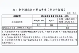 新能源国补即将到期 豪华品牌纯电车是否可以入手？图片