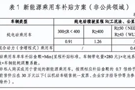 新能源国补即将到期 豪华品牌纯电车是否可以入手？图片