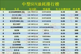 中型SUV怎么选？“最省油”的20款车型公布，瑞虎8前10，探岳第17图片