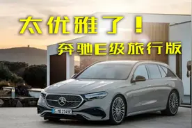 瓦罐粉迎春天，奔驰E级旅行版太优雅了!图片