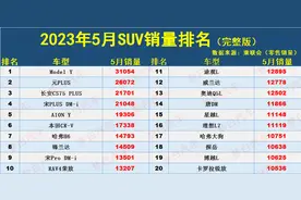 5月份SUV销量榜：1-295名，Model Y夺冠，CR-V第6，探岳博越L破万图片