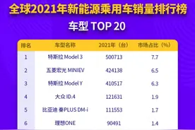 全球2021年新能源汽车销量终极排行图片