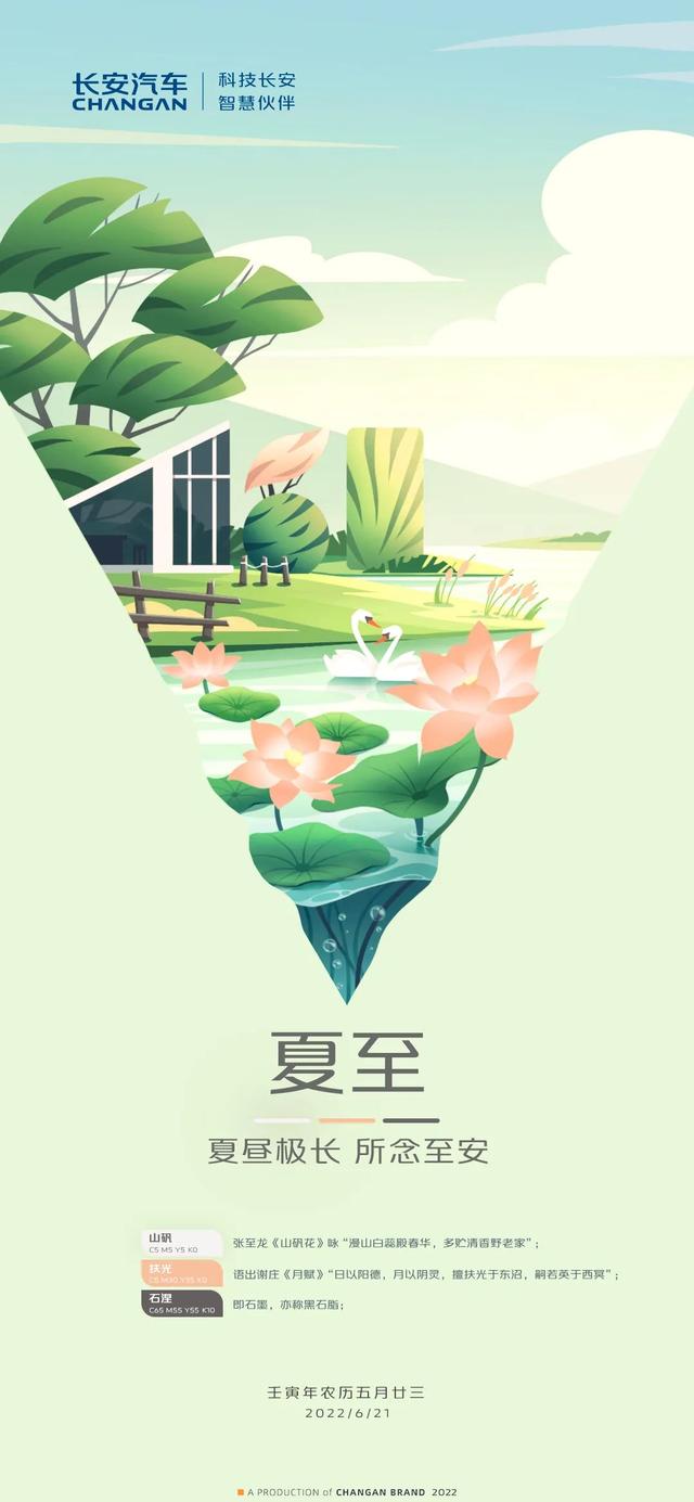 半夏蝉鸣 藕荷飘香 Ttsnews