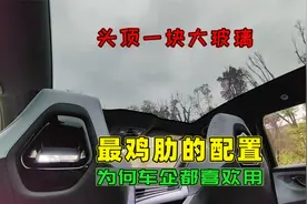 汽车全景大天幕真不实用，为何用的车越来越多？这才是根本原因视频封面