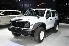 限量1000台，售价30.28万，坦克300铁骑02主打的是新造型图片