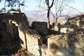 小说：进化之后的蚂蚁能做什么？若是你能进化蚂蚁，你想做什么？图片