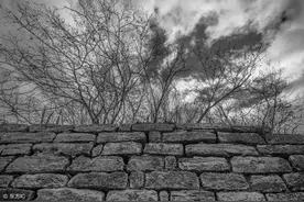 小说：穿越者做出鳝鱼钩，几分钟钓到鱼，村夫跪求秘籍图片