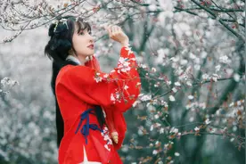 小说：她受重伤差点死掉，见到妹妹担心落泪，还冷嘲热讽妹妹心机图片