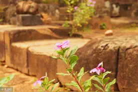 小说：有那贼心更有贼胆，想了就做，这多坦然。图片