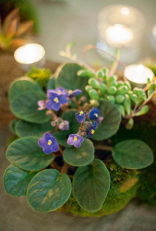 送给每个人的精致之书,让生活充满仪式感