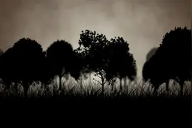 小说：我获得风水术后，梦里我经常梦见个新娘，这次终于见到了她图片