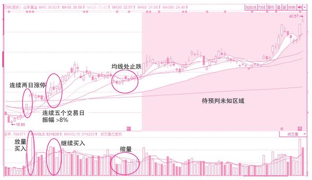 第三章 蛛丝马迹寻趋势——资金性质对股价的预判