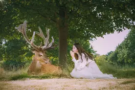 《家住多伦多》：国外交通小知识，看看与中国有何不同图片