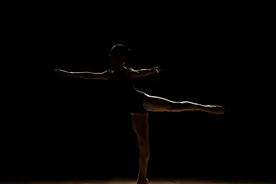 小说：1首青花，全网爆火，单身狗听了都要落泪图片