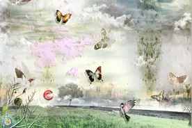 小说：天道轮回，帝星消失，人在做天在看！图片