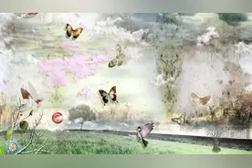 小说：末世来了什么最重要？小伙刚囤积亿万物资，却发现需要武器图片