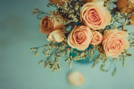 第十课 针与线图片