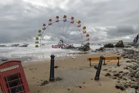 小说：开局掠夺神级天赋，我在末世无敌后，校花女神们来倒贴我！图片