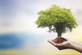 解剖结构系统养生保健原则是人类获得营养的关键图片