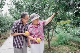 宝妈必入，分享4款适合宝宝的花草茶，清热利尿，生津益胃图片