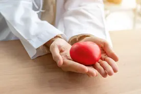 第二章 精油基础知识图片