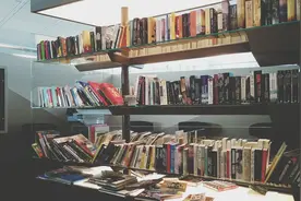 第4章 你一点也不喜欢我吗图片