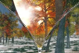 小说：四代火影代打，拯救宇智波一族灭族之夜图片