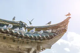 为何要引金水河进紫禁城？看完你就知道金水河的作用图片
