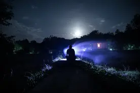 小说：震惊！520女友主动给我送花，我真的好喜欢...图片