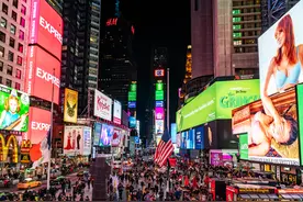 沈周的落花风雨图片
