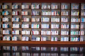 第一章 内战末期的美国工业图片