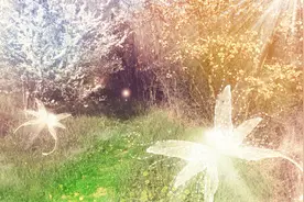 小说：旺达拜古一为师，进行魔法深造图片