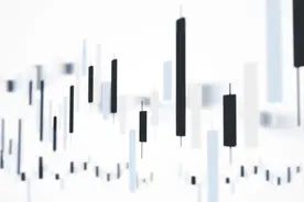 一、融资结构理论图片