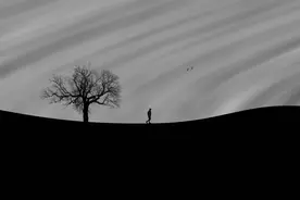 温暖治愈各式人群的减压书，引发无数“打工人”的灵魂共鸣图片