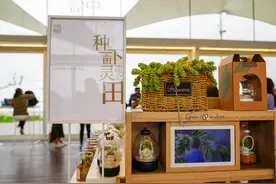 假如克隆一只猫图片