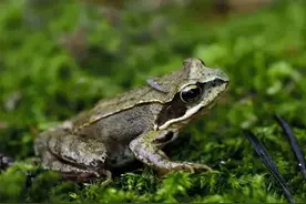 第二章 自然数和人工数图片