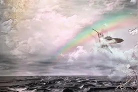 小说：朱英儿惊悉神医是拐子，跪求苏浅救女脸！图片