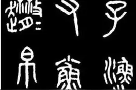 第六章 花图片