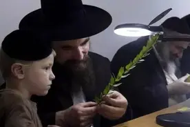 第一篇 资本主义的增长机制图片