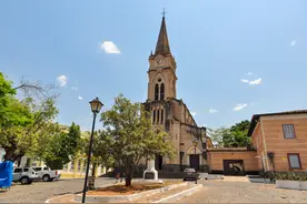 这个俘虏即将被处决，树丛中突然跳出一只瘸了腿的火鸡救了他图片